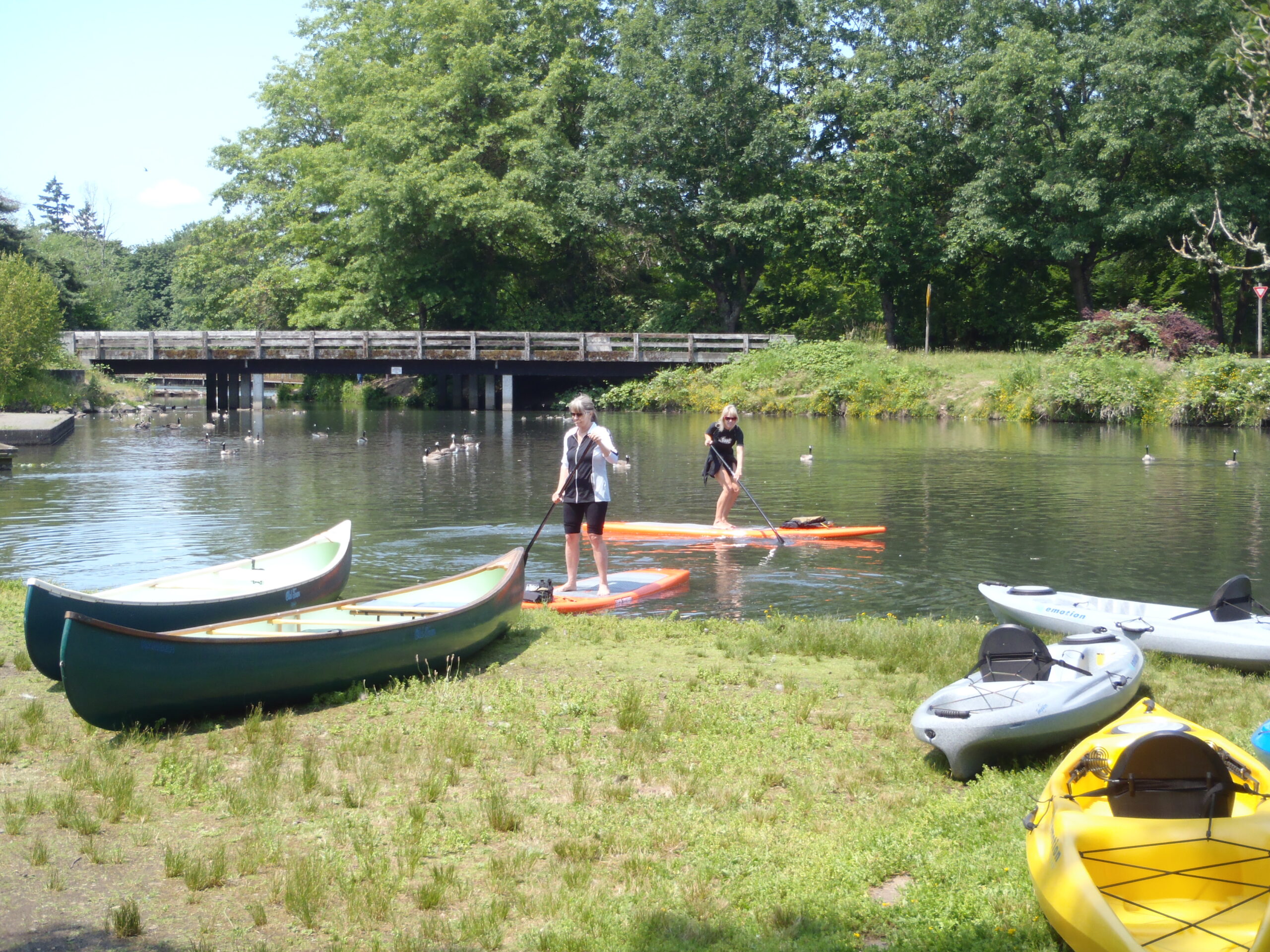 You are currently viewing Stand Up Paddleboaring at Alton Baker Park
